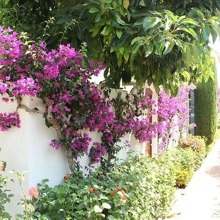 Apartamento Villacana 2106